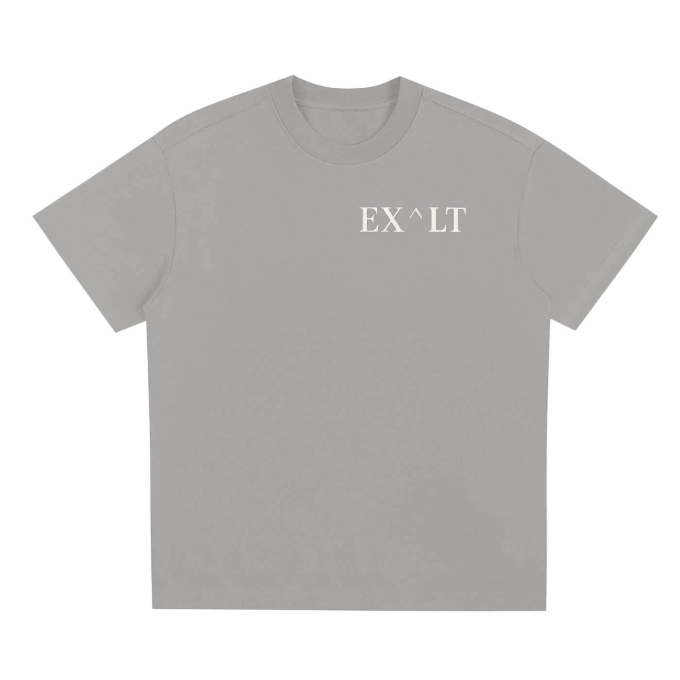 THE "ONE" TEE (GRAY/WHITE)