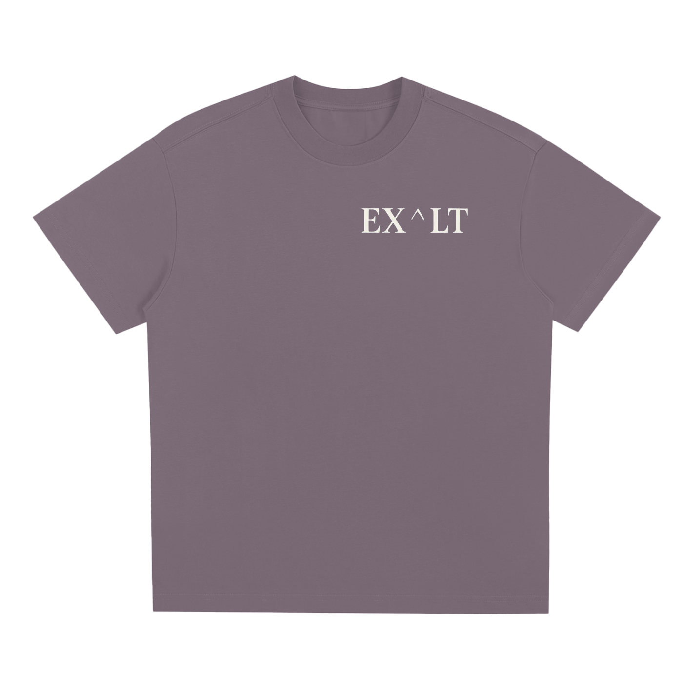 THE "ONE" TEE (PLUM/WHITE)